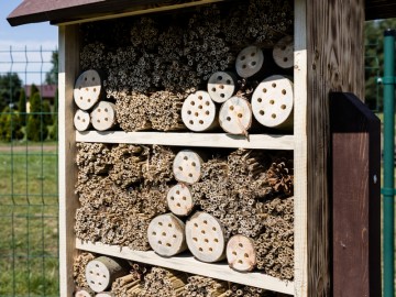 Letnie działania w Przedborskim Parku Krajobrazowym 2025, 